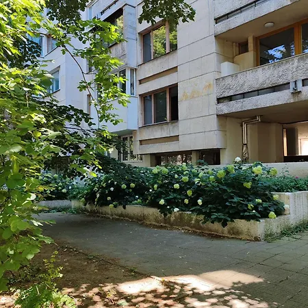 View With Rooftop Terrace Apartman Szófia