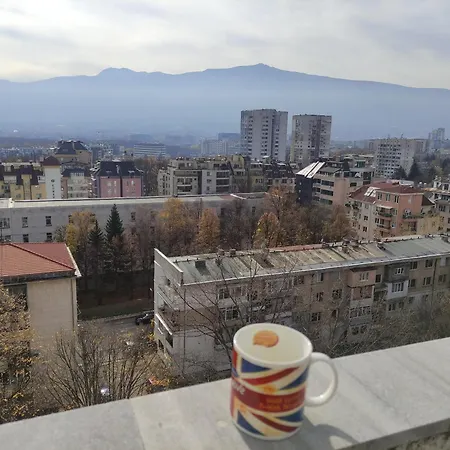 View With Rooftop Terrace