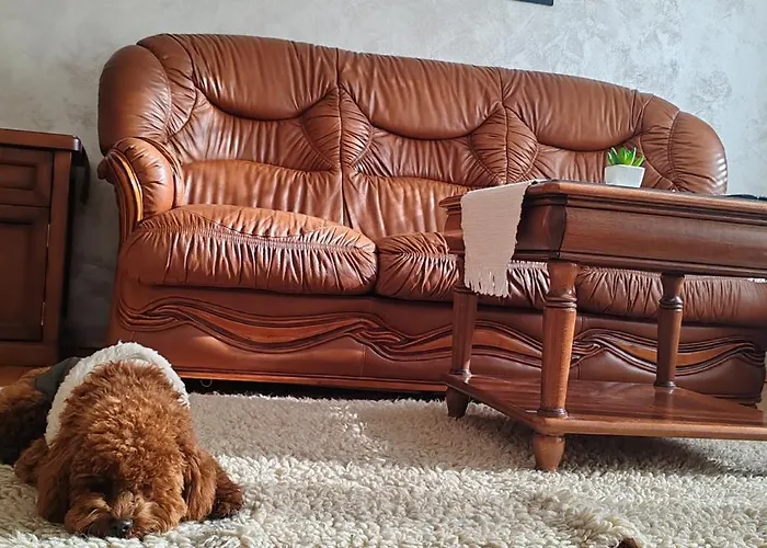 View With Rooftop Terrace * Σόφια