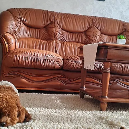 View With Rooftop Terrace * Sofia